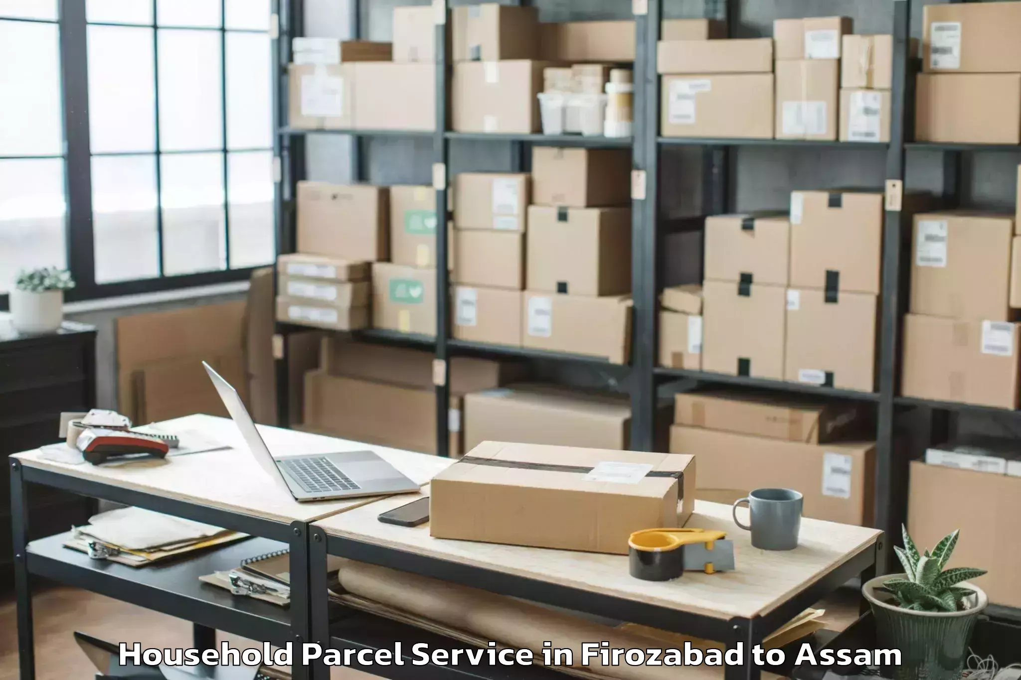 Professional Firozabad to Pandu Household Parcel